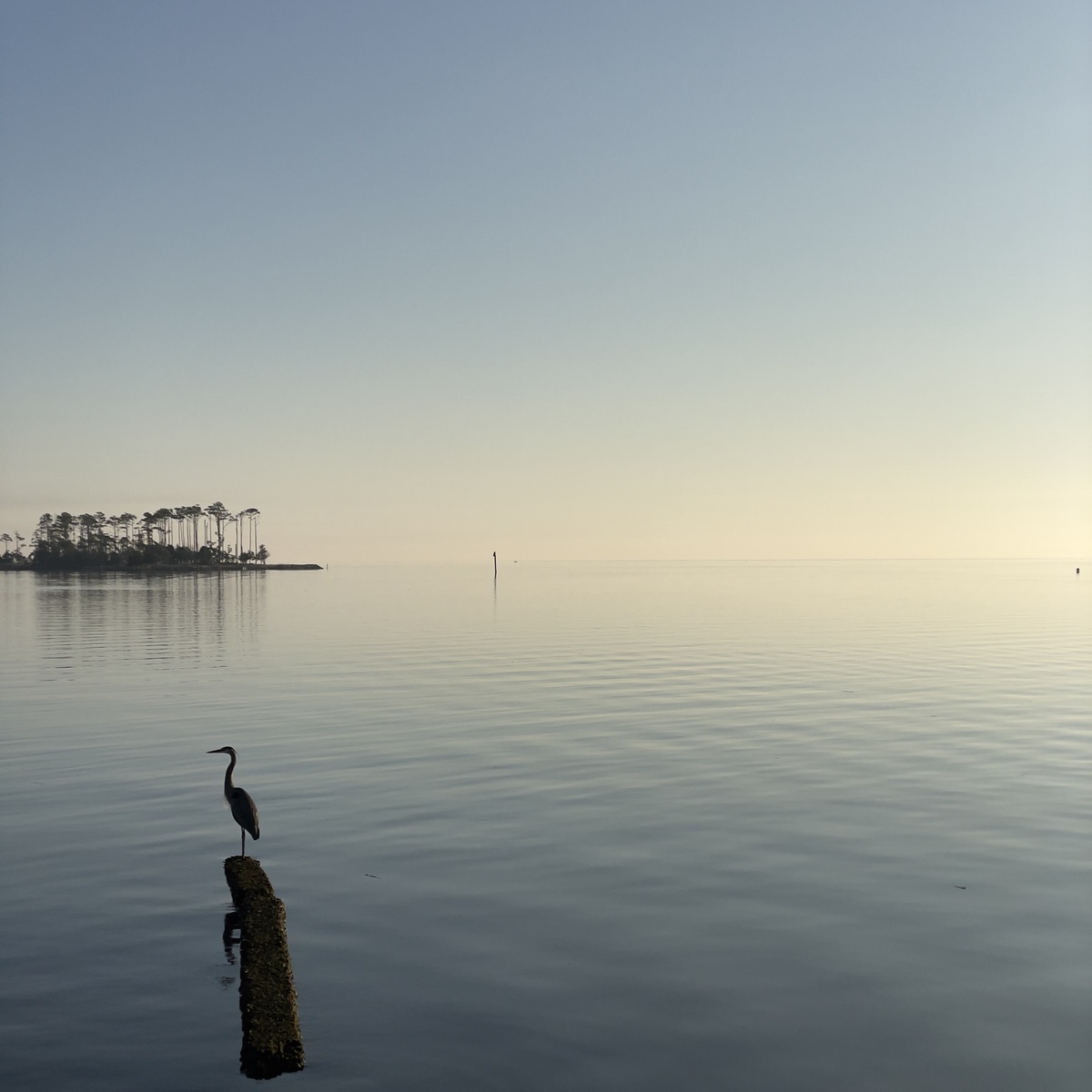 Delving into the complex history of the American Indians of Pamlico County