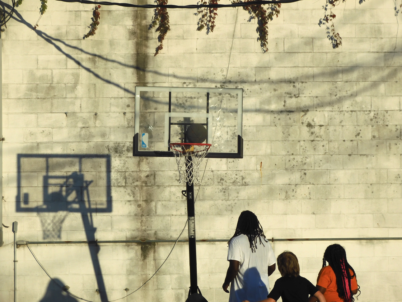 Introducing the 2024 YNTO Snapshots