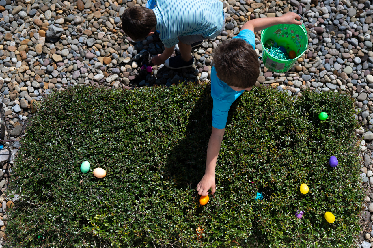 April 2024 Events, Resources and Volunteer Opportunities in Pamlico County