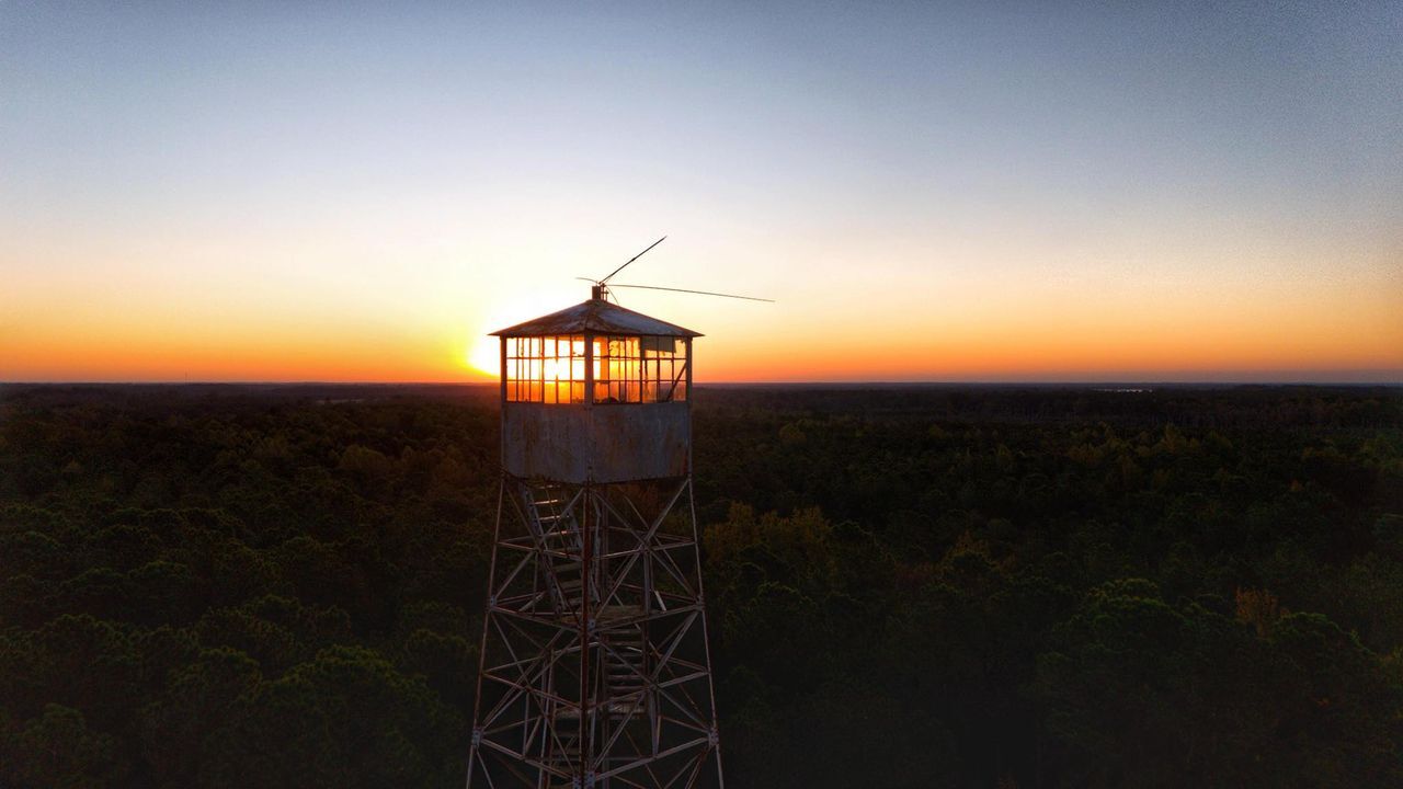 November 2024 Pamlico Pix: Featuring photos from Jeff Roberts, Ben Casey and Paula Downes