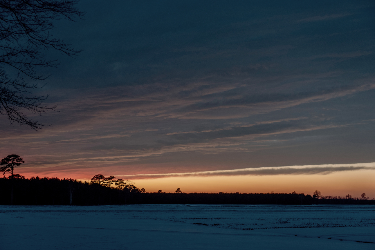 February 2025 Events, Resources and Volunteer Opportunities in Pamlico County, NC