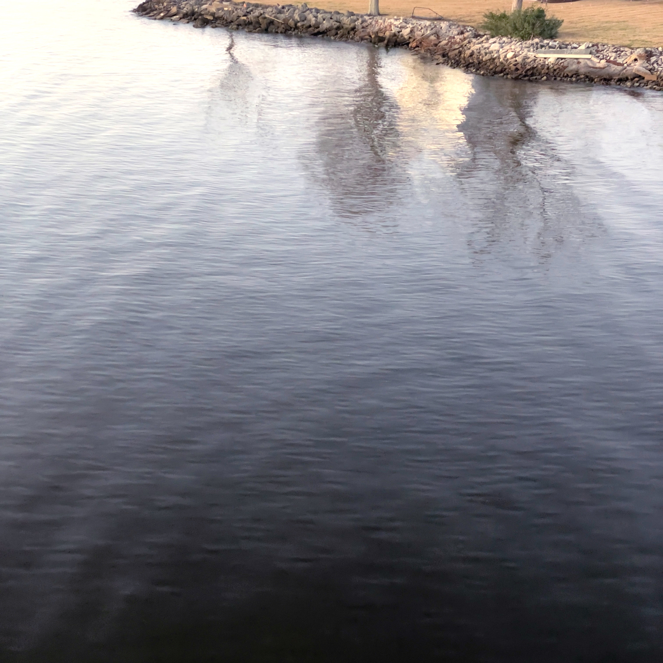 July 2023 Events, Resources and Volunteer Opportunities in Pamlico County