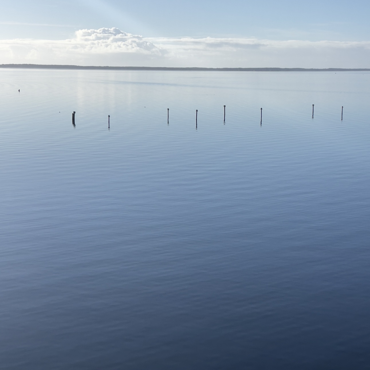June 2025 Events, Resources and Volunteer Opportunities in Pamlico County, NC