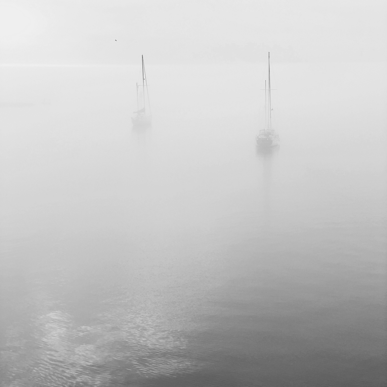 Photographs from Down in the County