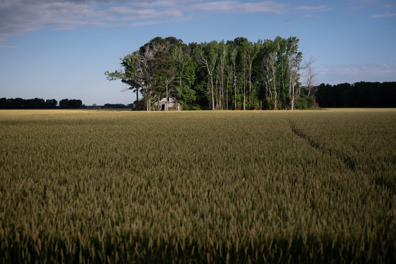 Join us in the History of Pamlico Project