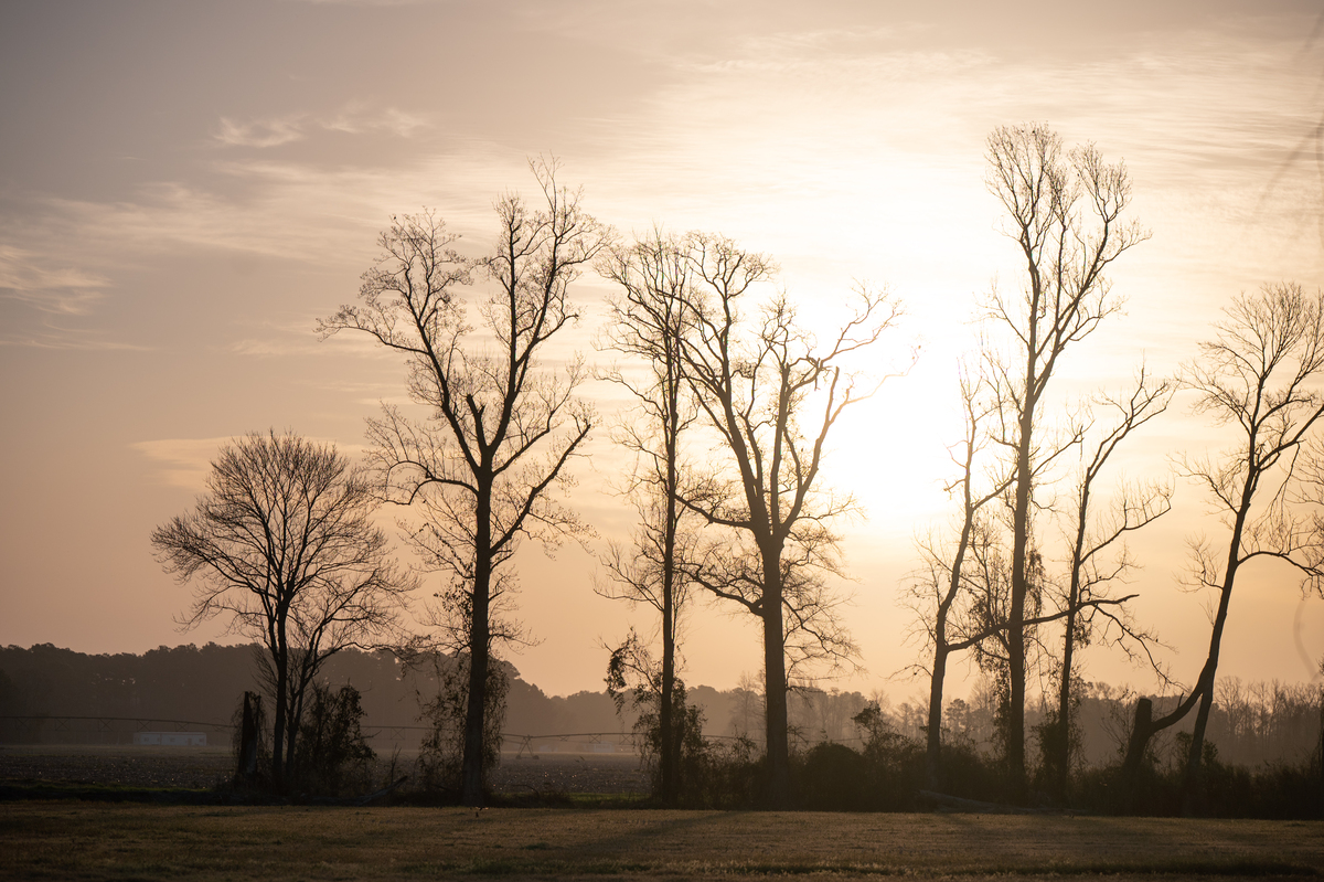 March 2023 Events, Resources and Volunteer Opportunities in Pamlico County