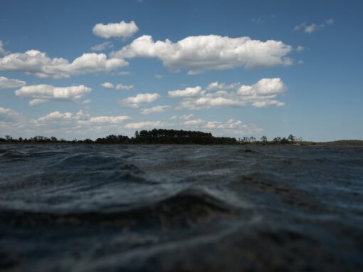 March 2026 Events, Resources and Volunteer Opportunities in Pamlico County, NC