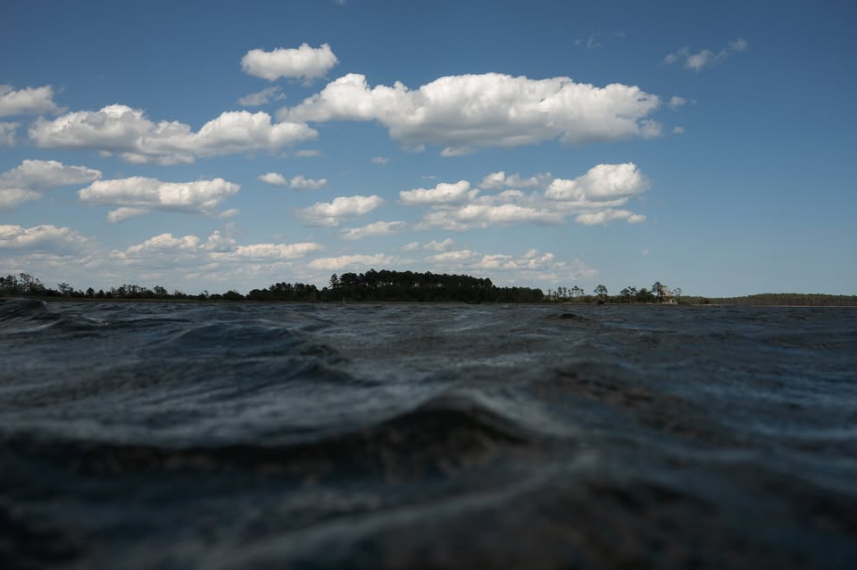 March 2026 Events, Resources and Volunteer Opportunities in Pamlico County, NC
