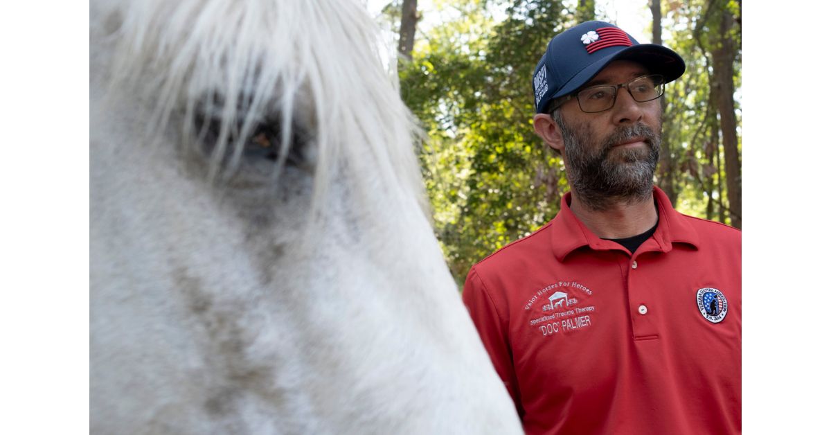 Veterans and first responders find comfort in equine therapy